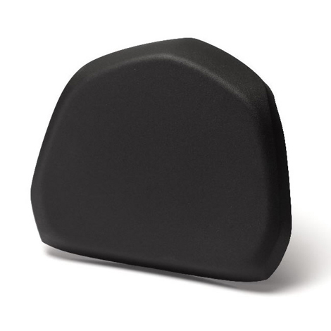 39L Top Case Passenger Backrest